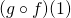 (g \circ f) (1)